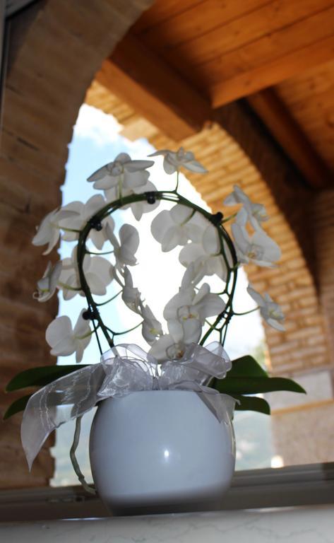 דירות קאפרינו ורונזה Giardino Degli Ulivi מראה חיצוני תמונה